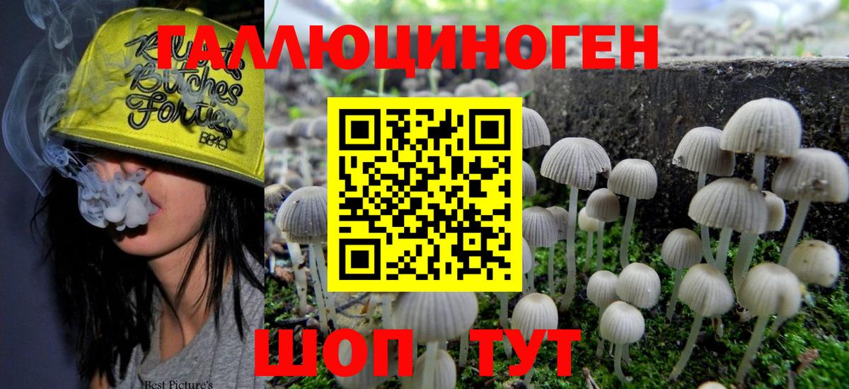 Черногорск  Галлюциногенные грибы Psilocybine cubensis  Галлюциногенные грибы прущие грибы  Вход с VPN 